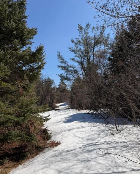 Michigan 32, Alpena, MI à vendre - Autre – Image 2 sur 11