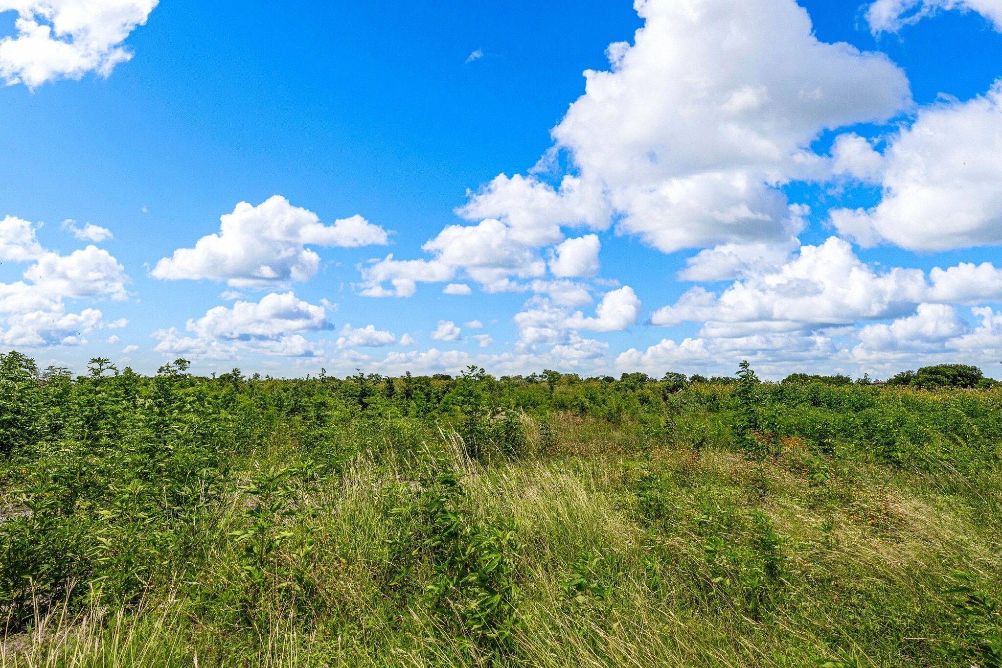 To Be Determined N 18th Street, Waco, TX à vendre Photo principale– Image 1 sur 24