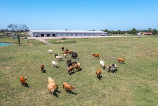 Plus de détails pour 000 County Road 2511, Canton, TX - Terrain à vendre