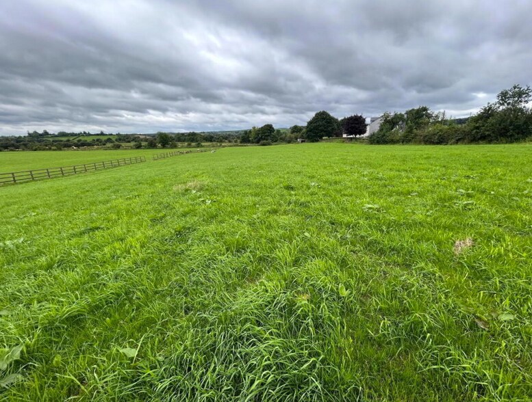 9 Ravella Rd, Aughnacloy à vendre - Autre – Image 2 sur 3