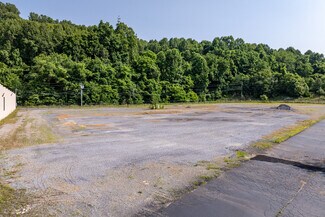 Plus de détails pour 354 Shadowtown Rd, Blountville, TN - Terrain à louer