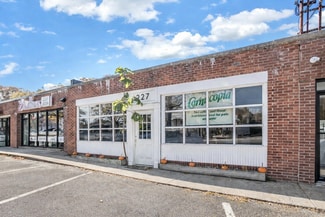 Plus de détails pour 227 Wall St, Huntington, NY - Local commercial à vendre