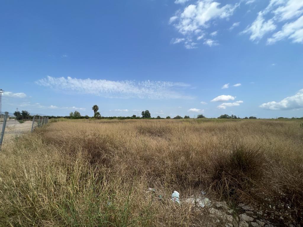 Terrain dans Benimuslem, Valencia à louer Plan de site– Image 1 sur 2