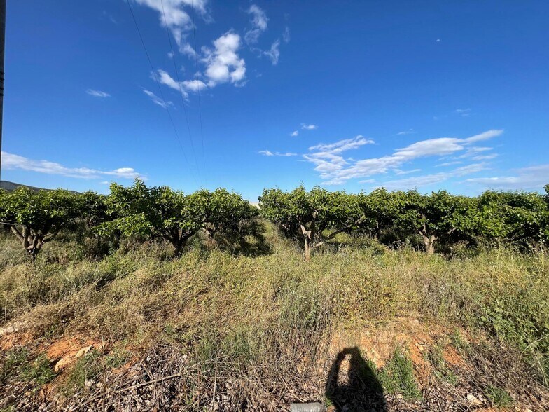 Terrain dans Benimodo, Valencia à vendre - Photo principale – Image 3 sur 5