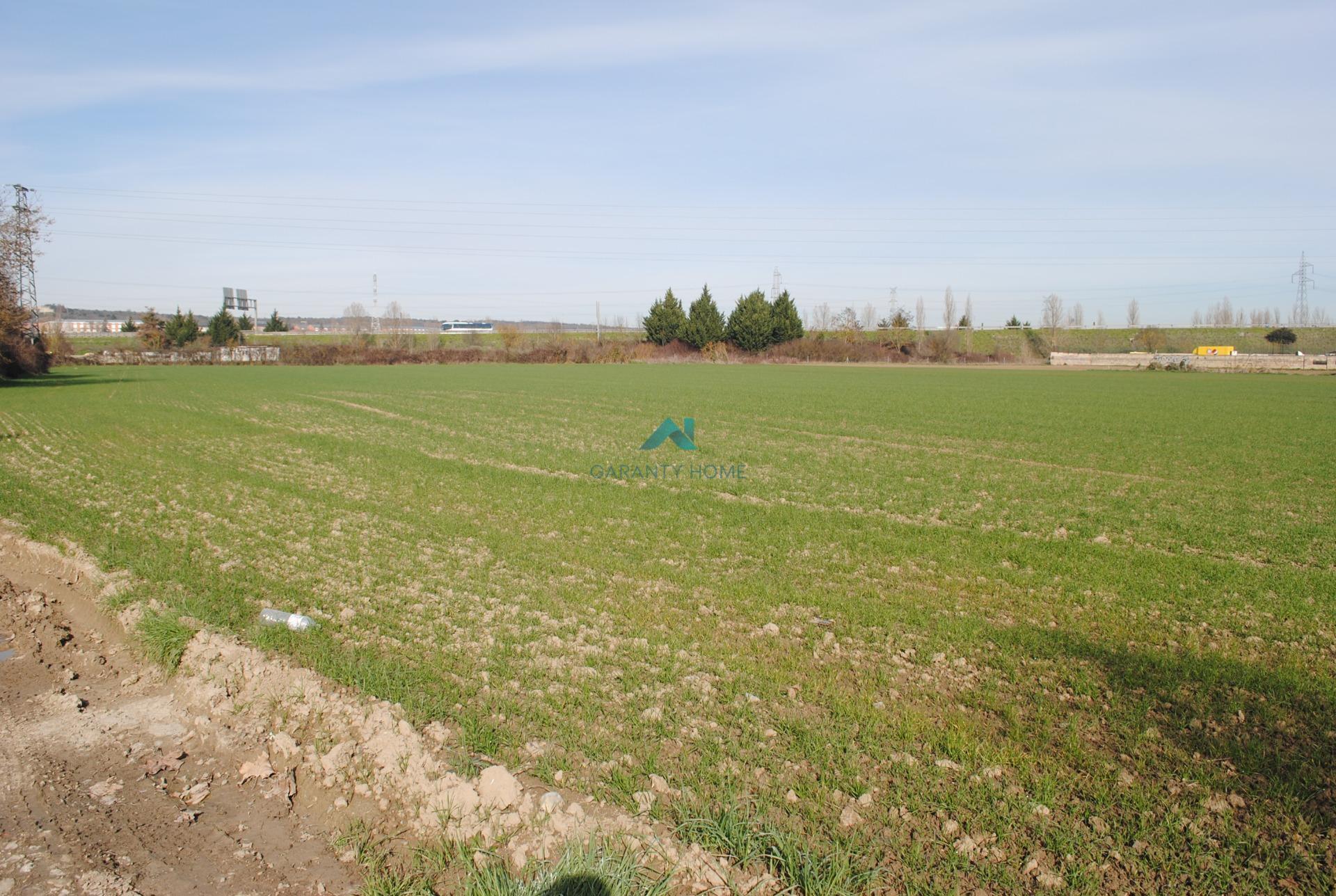 Artandi, GASTEIZ, Álava à vendre Plan de site– Image 1 sur 6