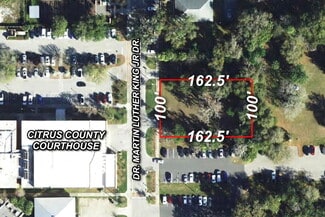 Plus de détails pour 116 Dr Martin Luther King Jr Ave, Inverness, FL - Terrain à vendre