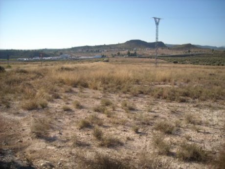 Industriel/Logistique dans Calasparra à vendre - Plan de site – Image 2 sur 7