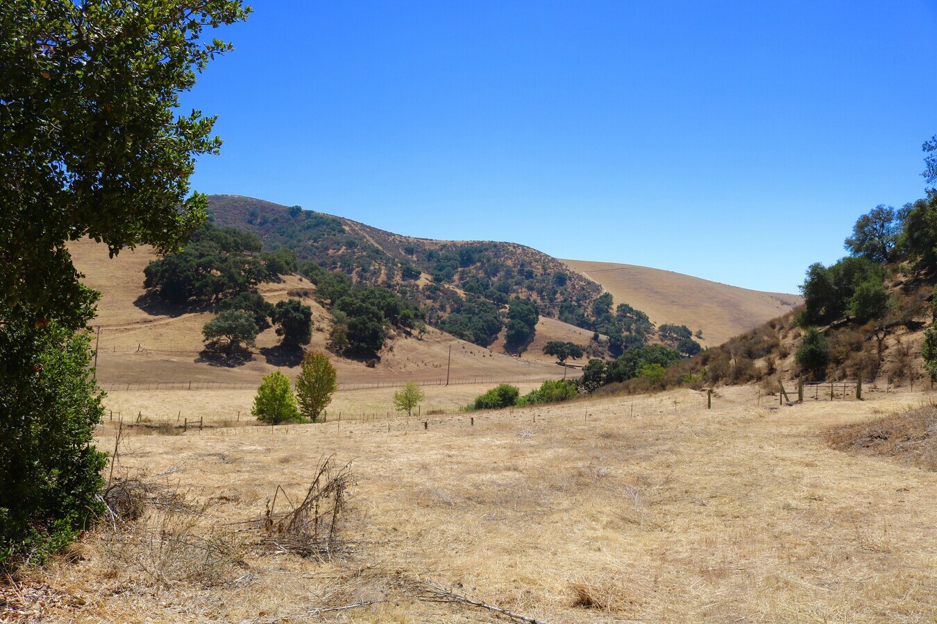 View Photo