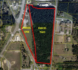 Plus de détails pour 0000 Hwy 231, Pell City, AL - Terrain à vendre