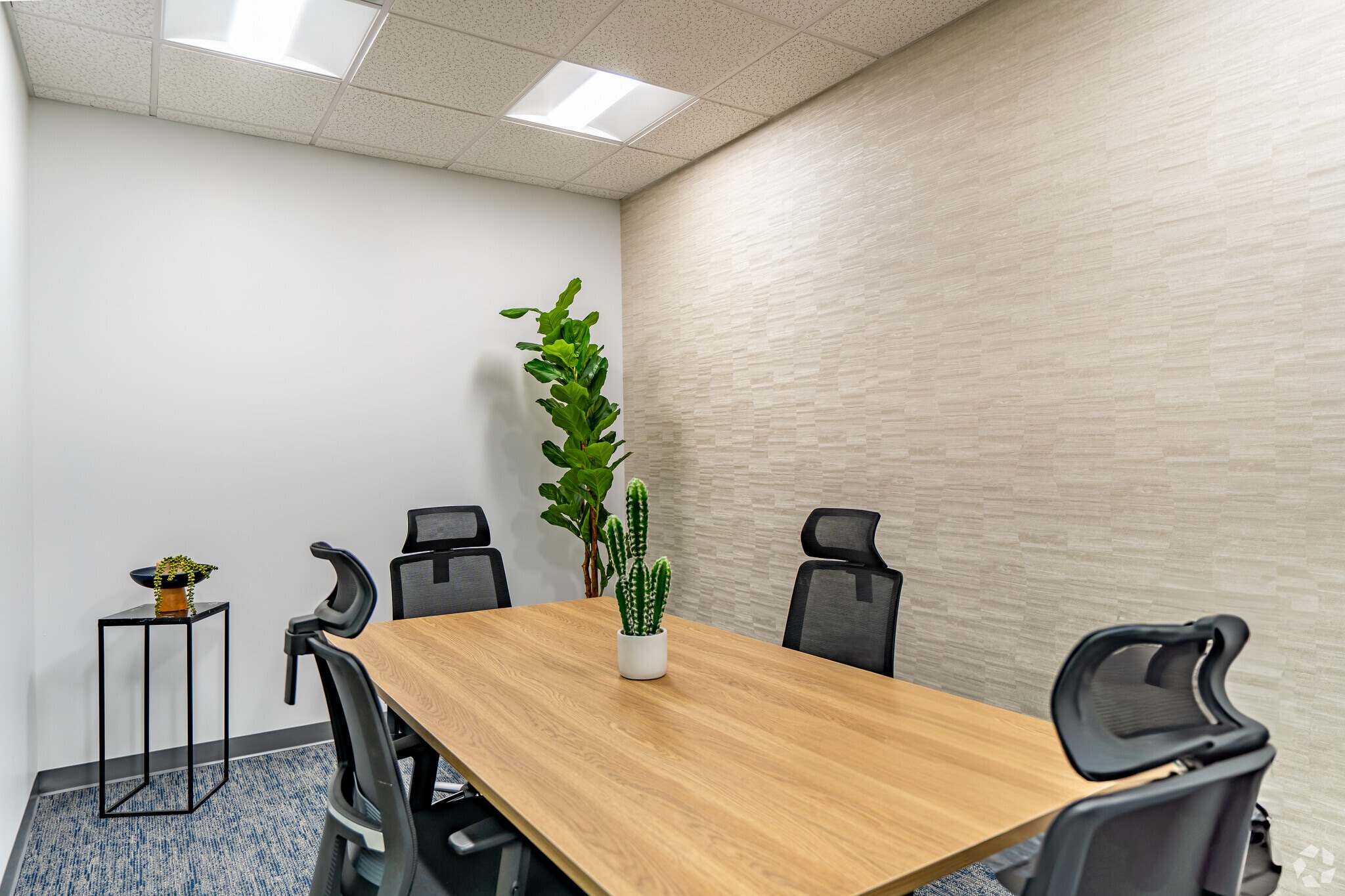 3031 N Rocky Point Dr W, Tampa, FL à louer Photo intérieure– Image 1 sur 1