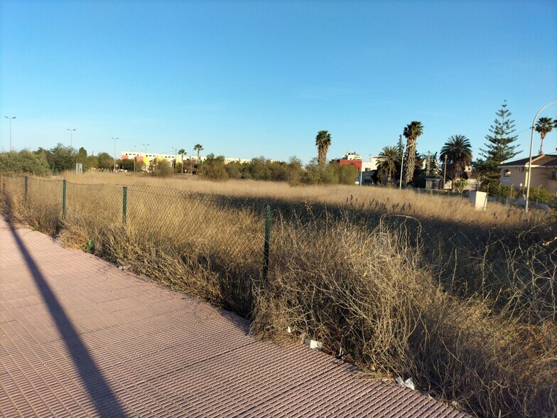 Industriel/Logistique dans Callosa de Segura à vendre - Plan de site – Image 2 sur 6