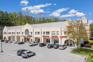 Plus de détails pour 13-17 North Ave, Pleasant Valley, NY - Bureau, Local commercial à louer