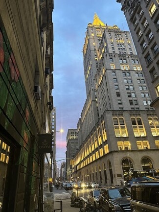 Plus de détails pour 62 Madison Ave, New York, NY - Local commercial à louer