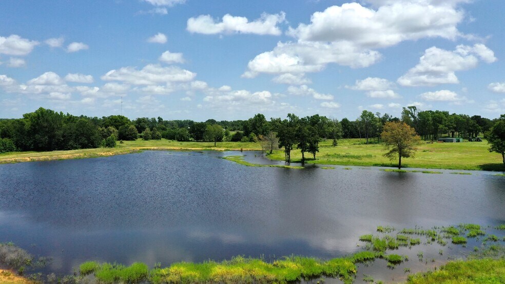 13530 FM 773, Ben Wheeler, TX à vendre - Photo de l’immeuble – Image 3 sur 30