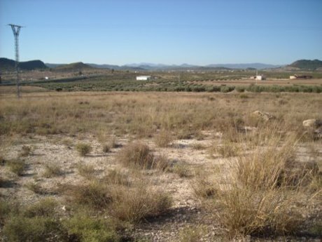 Industriel/Logistique dans Calasparra à vendre Plan de site– Image 1 sur 8