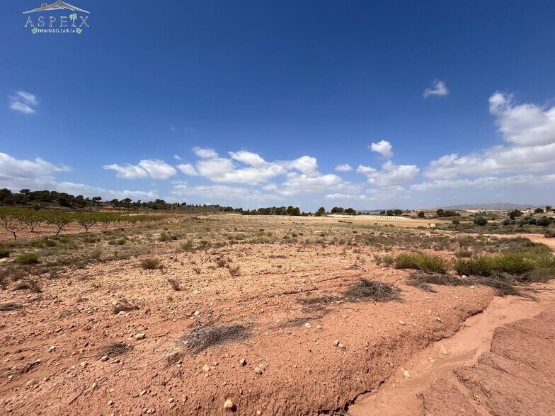Terrain dans Jumilla, Murcia à vendre - Aérien – Image 3 sur 5