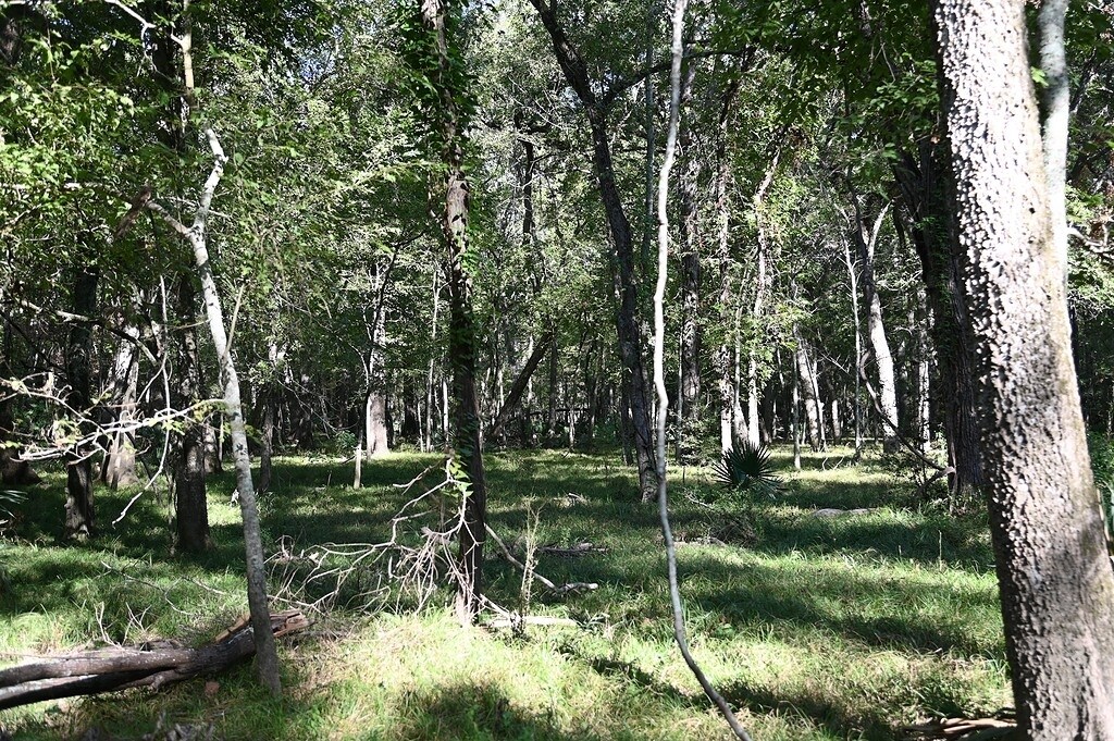 View Photo