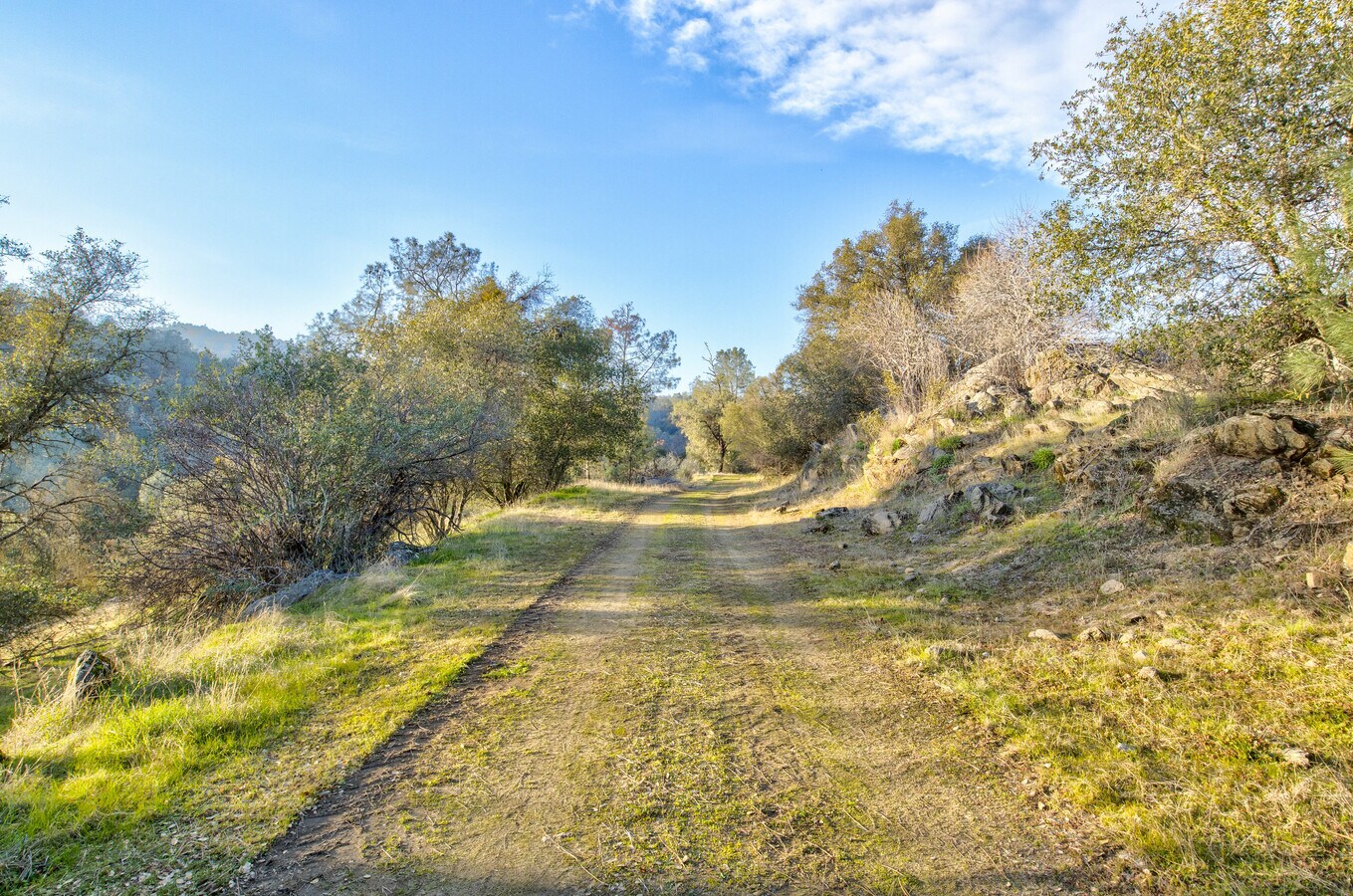 View Photo