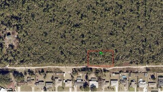 Plus de détails pour South Ave, Deltona, FL - Terrain à vendre