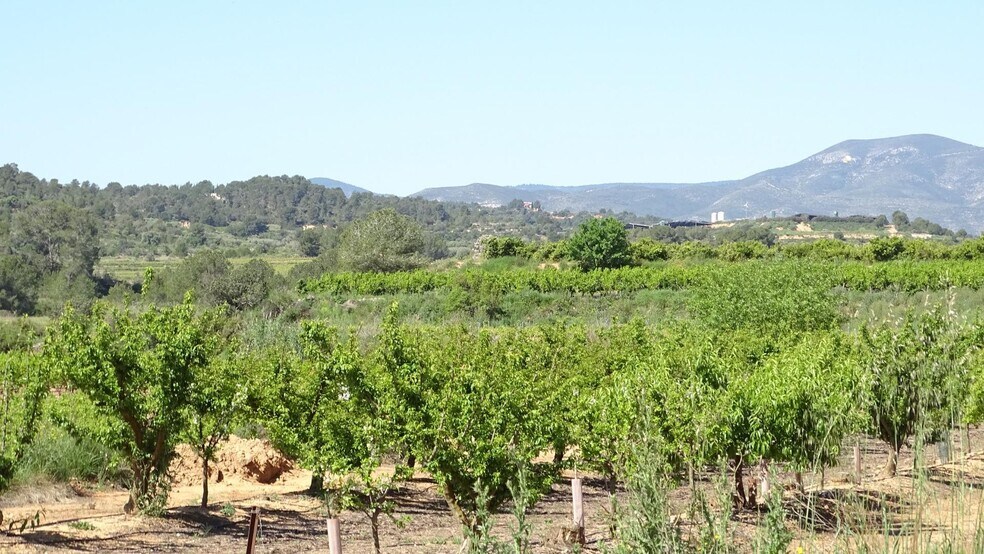 Polígono Enchilagar del Rullo, 16, Vilamarxant, Valencia à vendre - Aérien – Image 1 sur 27