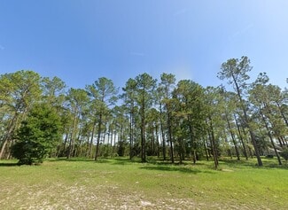 Plus de détails pour 24135 Greenwood Xing, Eustis, FL - Terrain à vendre
