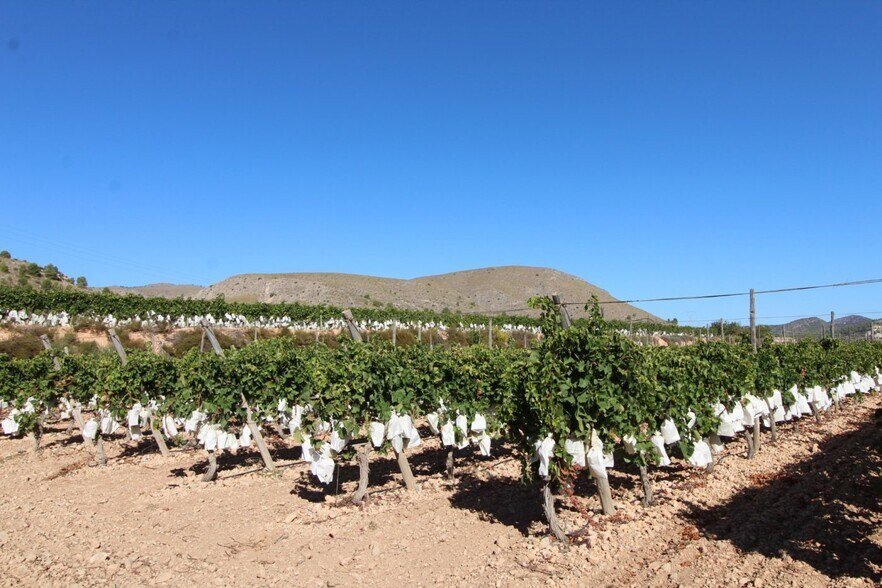 Terrain dans La Romana, Alicante à vendre - Aérien – Image 2 sur 7