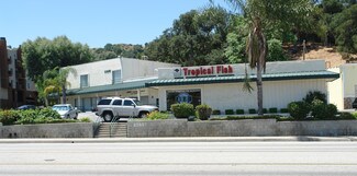 Plus de détails pour 23655 Newhall Ave, Newhall, CA - Local commercial à vendre
