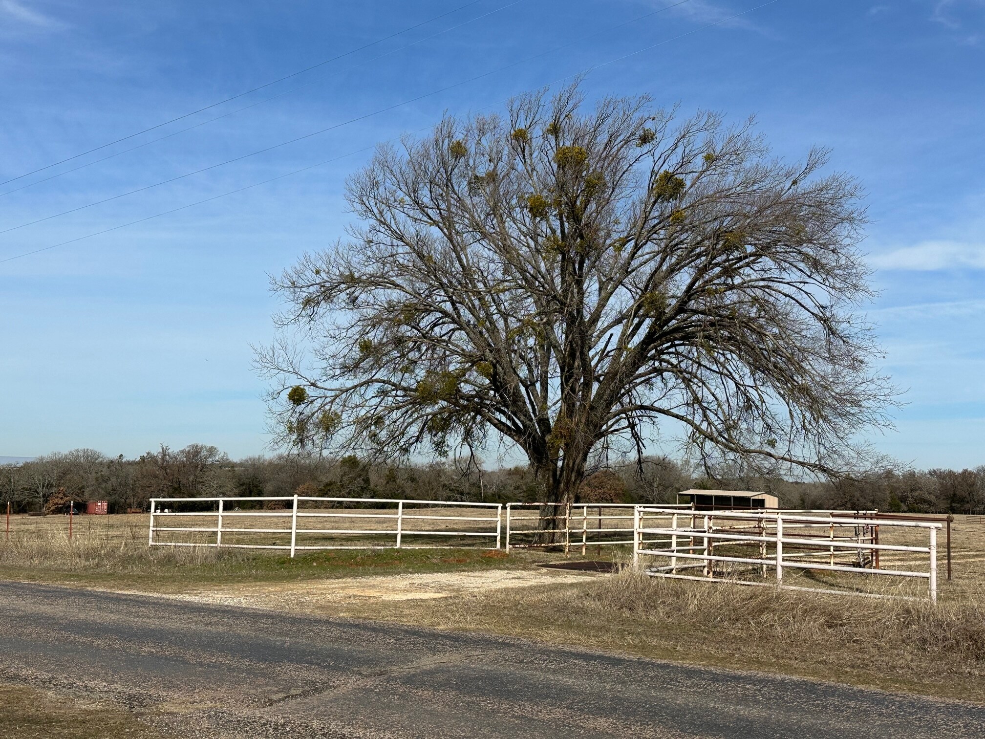 873 Anderson, Whitesboro, TX à louer Photo principale– Image 1 sur 6