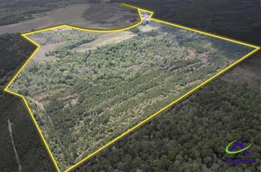 191 Acres Bethel Church Road, Eastman, GA à vendre - Aérien – Image 1 sur 20