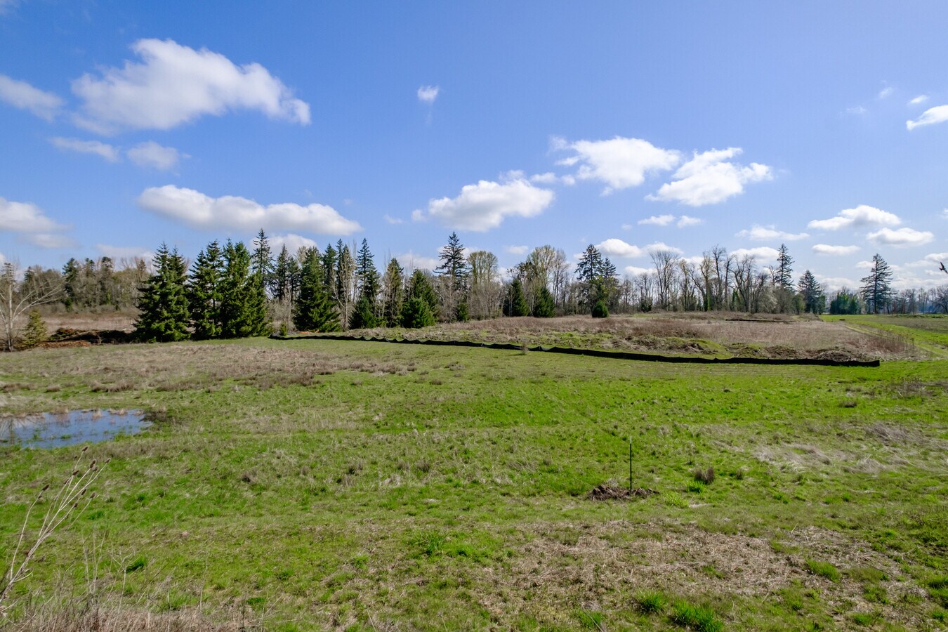 View Photo