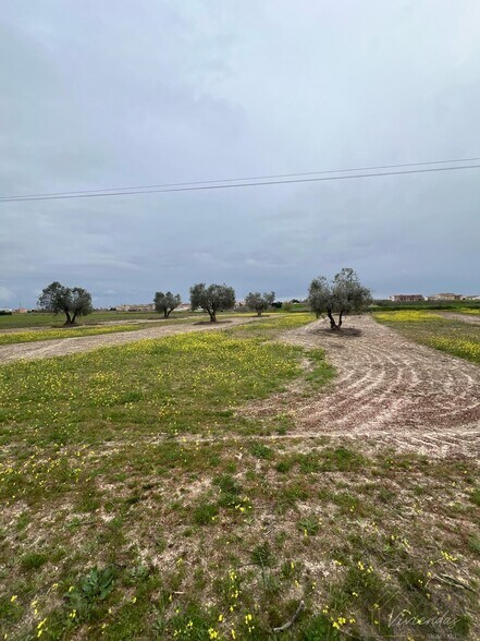 Terrain dans El Viso de San Juan, Toledo à vendre - Autre – Image 3 sur 5
