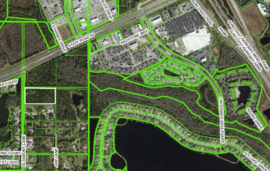 0 Altamont Ln, Odessa, FL à vendre - Plan cadastral – Image 2 sur 10