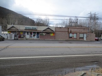 Plus de détails pour 154-156 State Route 239, Shickshinny, PA - Local commercial à vendre