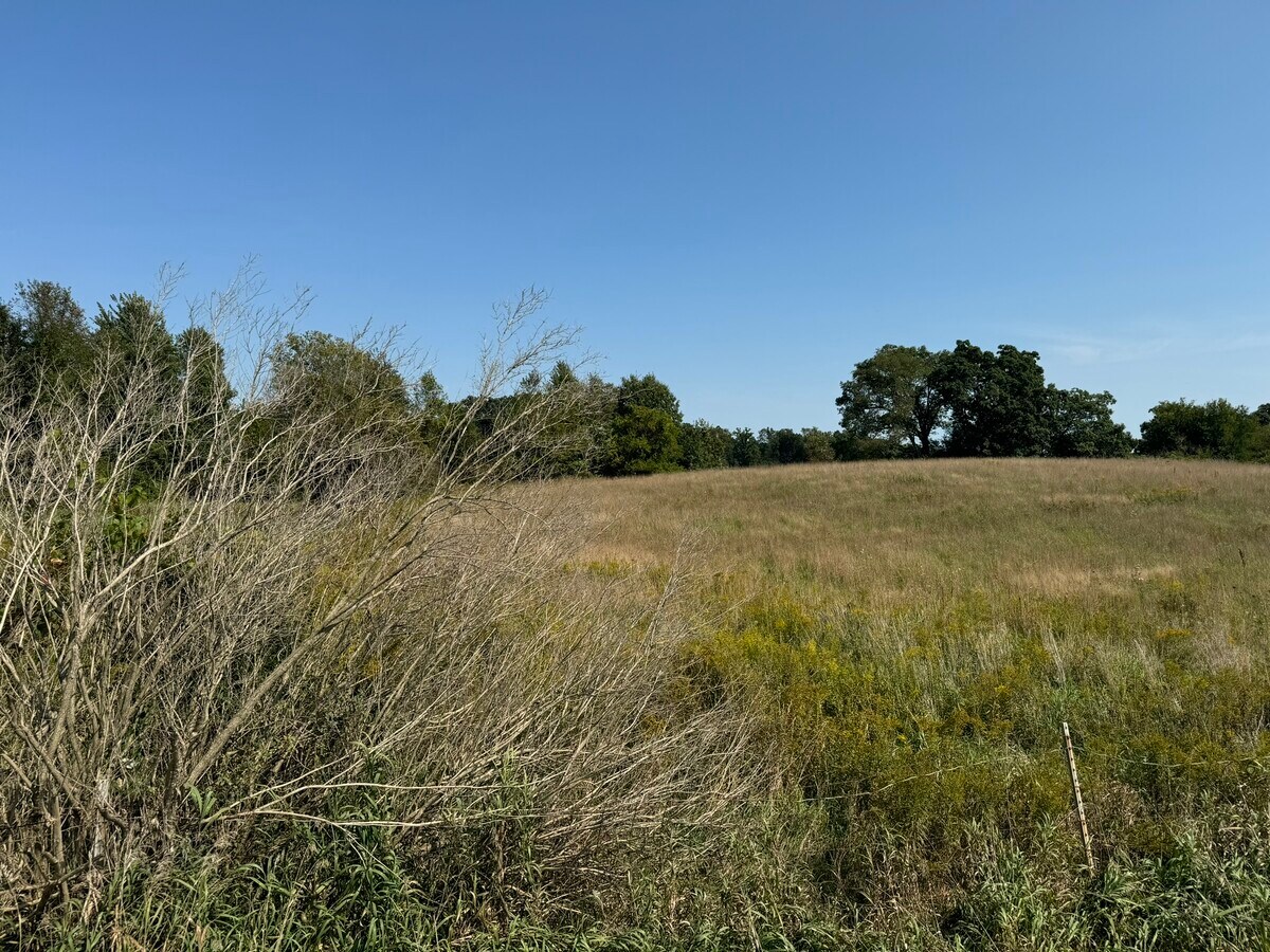 View Photo