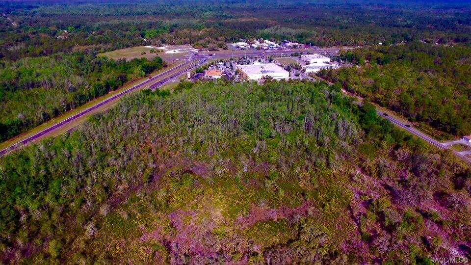 6753 W Ponce De Leon Blvd, Homosassa, FL à vendre - Aérien – Image 3 sur 9