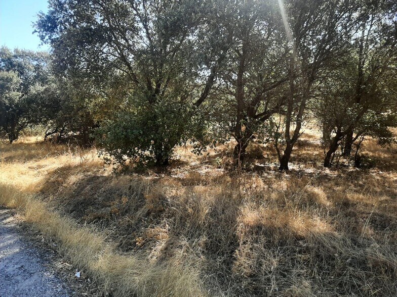 Terrain dans Torreorgaz, Cáceres à vendre - Photo principale – Image 3 sur 6