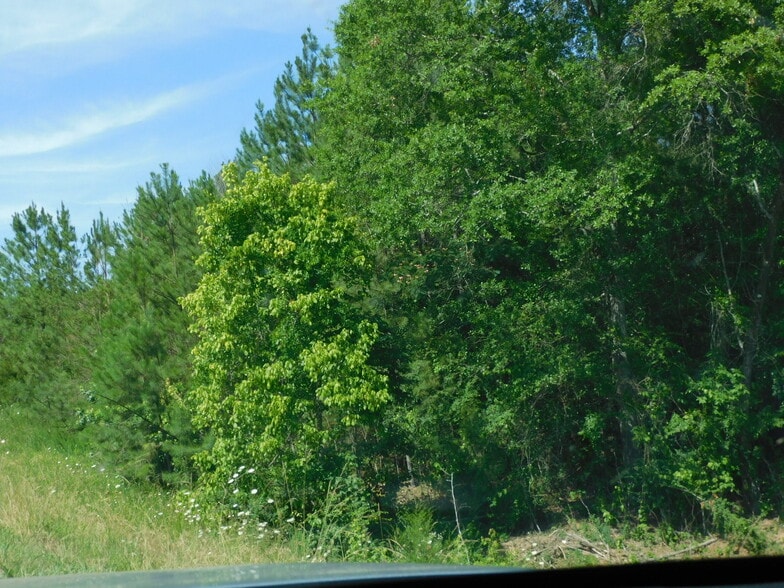 00 US- 31, Calera, AL à vendre - Autre – Image 2 sur 2