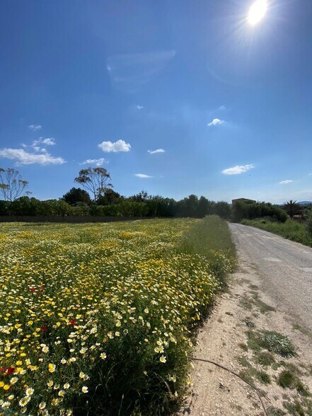 Terrain dans Manacor, Islas Baleares à vendre - Aérien – Image 3 sur 7