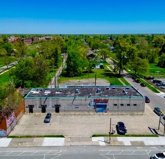 Plus de détails pour 16600 Hamilton Ave, Highland Park, MI - Local commercial à vendre