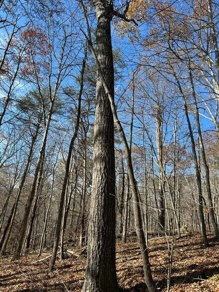 275 Horns River Rd, Irvine, KY à vendre - Photo de l’immeuble – Image 2 sur 9
