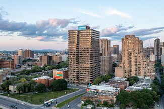 Plus de détails pour 300 Rue Léo-Pariseau, Montréal, QC - Bureau à louer