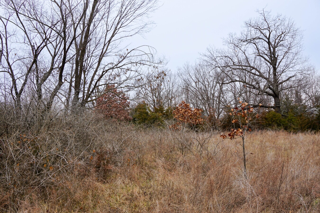 View Photo