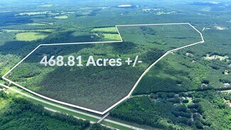 Plus de détails pour Perkins Rd, Hogansville, GA - Terrain à vendre