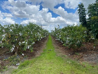 Plus de détails pour 35651 SW 218th Ave, Homestead, FL - Terrain à vendre