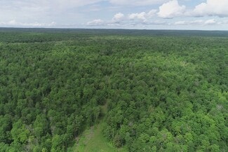 Plus de détails pour Laird Road Rd, Pelkie, MI - Terrain à vendre