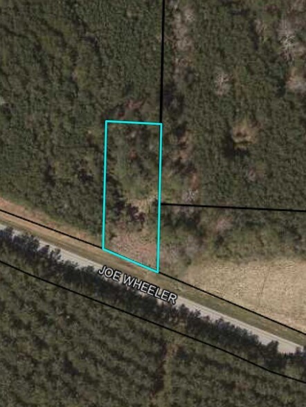 0 Highway 278 Hwy, Cedartown, GA à vendre - Aérien – Image 1 sur 1