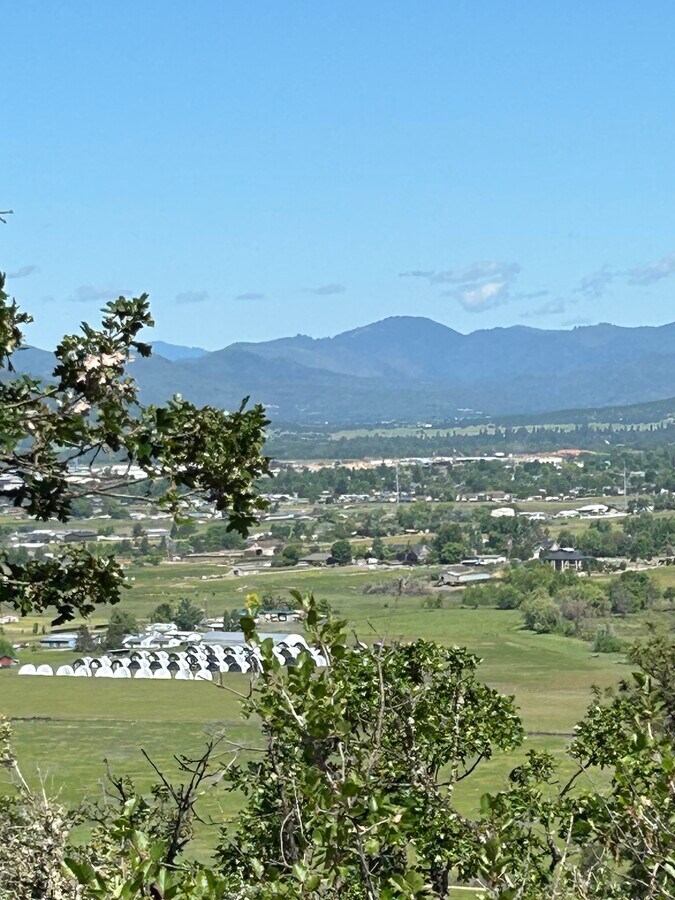 View Photo