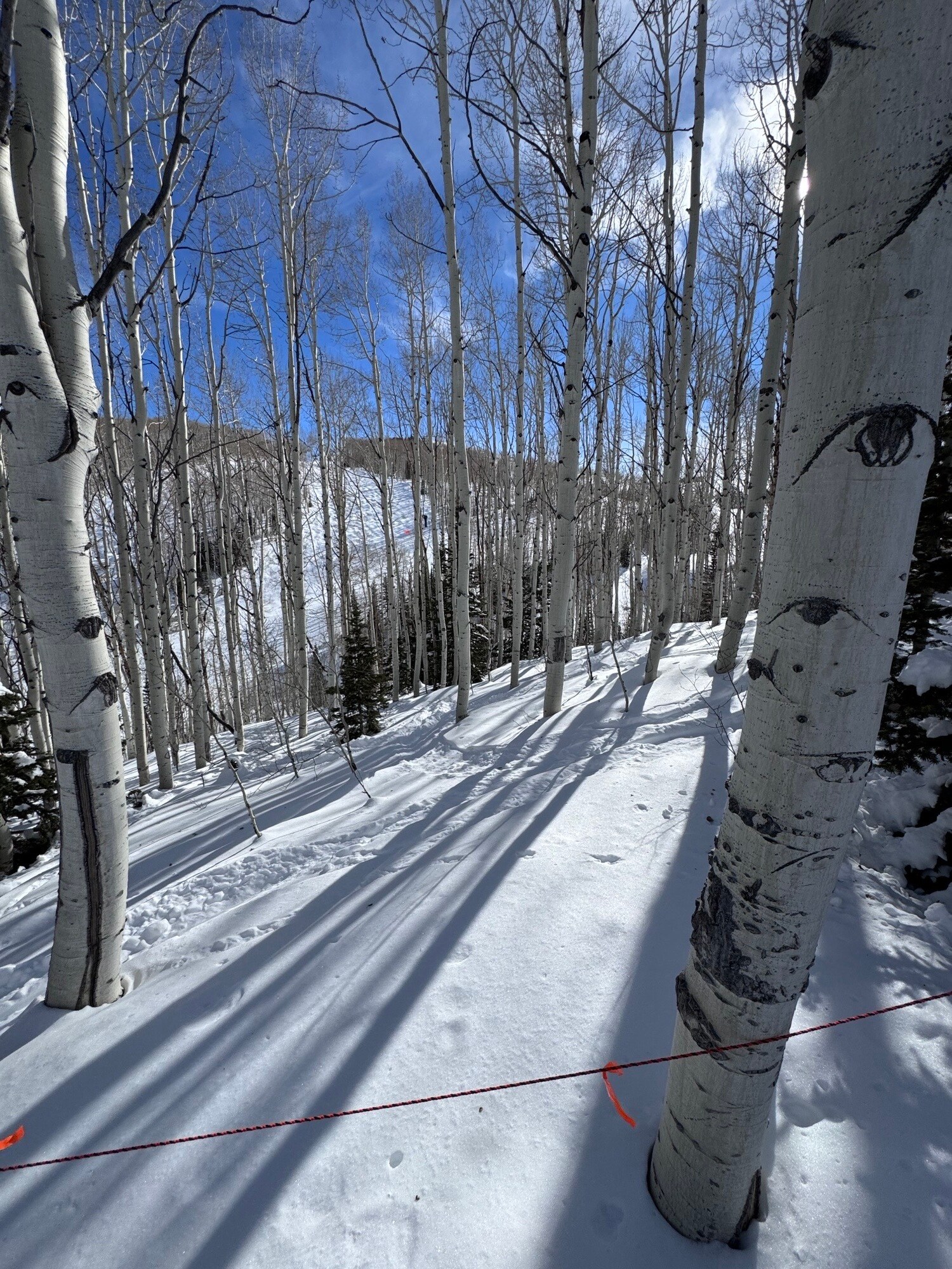 Parcels Logan lot 724 - U.P. No.2 lot 724, Park City, UT à vendre Photo principale– Image 1 sur 15
