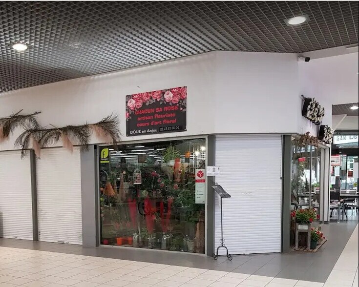 Local commercial dans Doué-en-Anjou à louer - Photo de l’immeuble – Image 3 sur 3