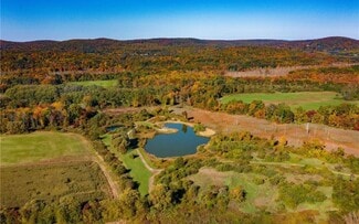 Plus de détails pour 225 Route 22, Pawling, NY - Terrain à vendre